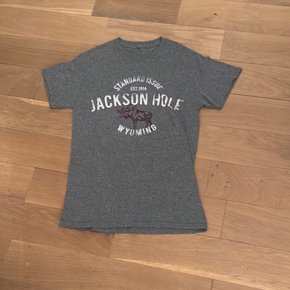 Oura Gray Short Sleeve Tee